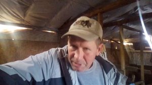 Лучшее животное в ЛПХ .