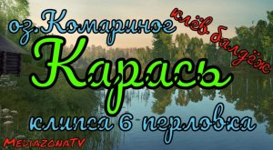 #рр4 оз.Комариное Карась + прокачка Донки  17.06