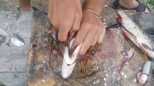 Как хорошо вспороть кишки рыбе.