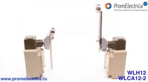 Концевые выключатели Рычаг @ Концевые выключатели купить в Москве