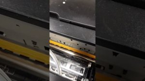 Введение в устройство принтеров epson. Базовые понятия. На пальцах расказываю как устроен принтер.