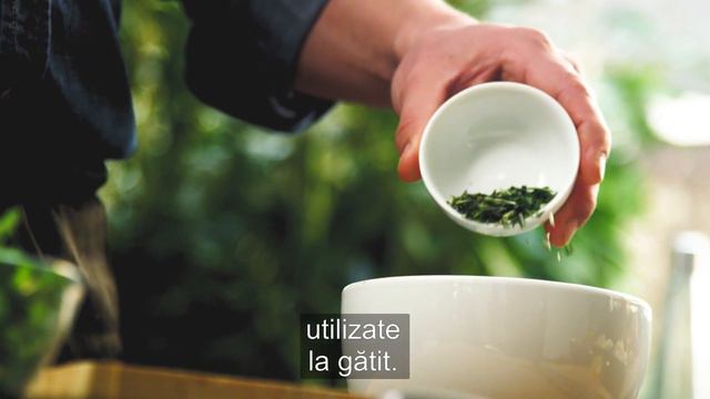 doTERRA Uleiul esențial de Rozmarin смотреть онлайн