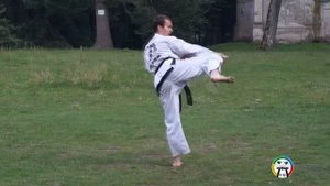 Обучение Чунг Му туля(вид спереди), Taekwondo Choong-Moo (front)