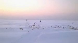 снегоход икар 6