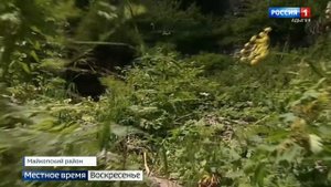 Туристы в Адыгее могут побывать у истоков реки Курджипс