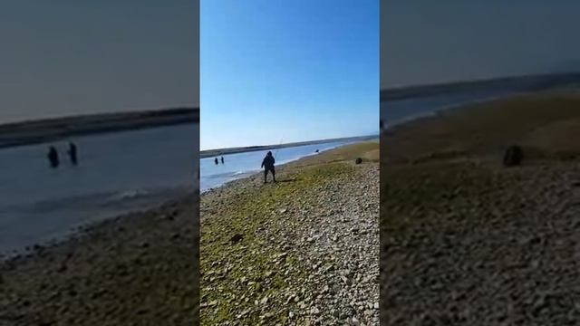 Магадан. Сентябрь. Некрупный кижуч. смотреть онлайн