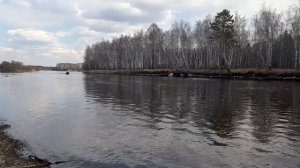 Мотор 8М лодка тайга 320