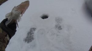 Я так еще не рыбачил зимой! Первая моя рыбалка зимой на судака! Рыбалка в Астрахани зимой.