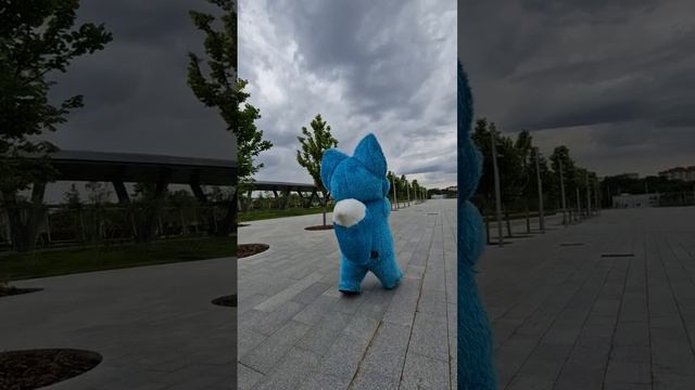 1000001085.mp4