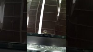 Разница полировки пастой 3 М и пастой КОХ