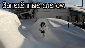 ТАКИХ ЯИЦ ВЫ ТОЧНО НЕ ВИДЕЛИ. Сдали кур на опыты.