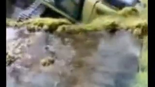 бульдозер на болотах смотреть онлайн