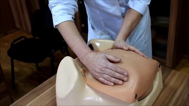 Наружное акушерское исследование смотреть онлайн