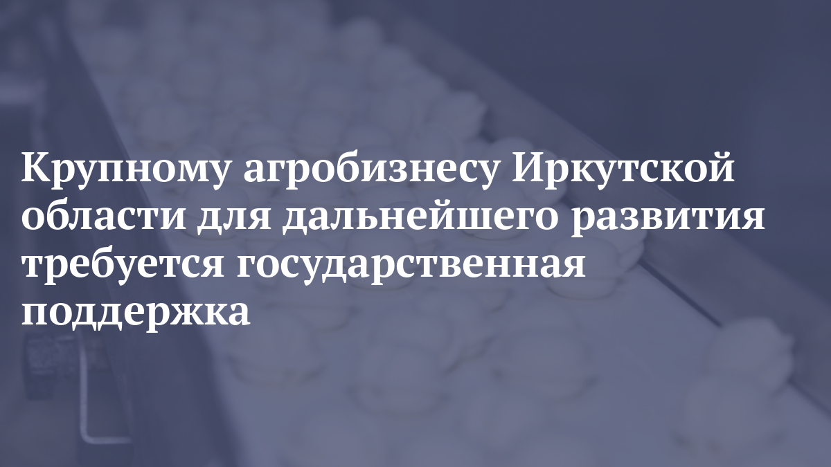 Крупному агробизнесу Иркутской области для дальнейшего развития требуется государственная поддержка