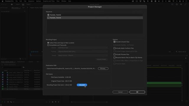 How to Collect Project Files in Premiere Pro. смотреть онлайн