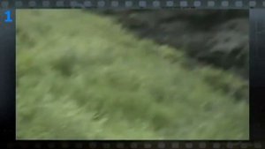 Из леса выбежал Бигфут