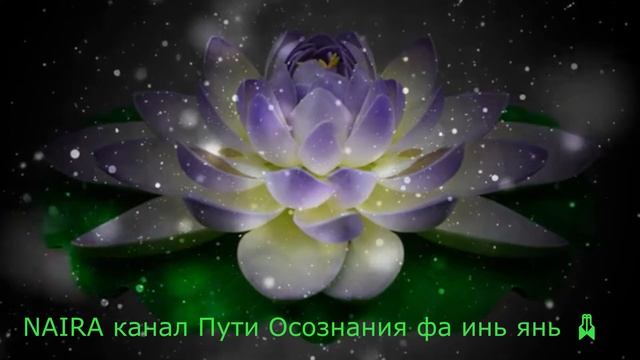 Матрица Гаряева Омолаживающая и Исцеляющая смотреть онлайн