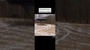 шок сняли инопланетян на камеру