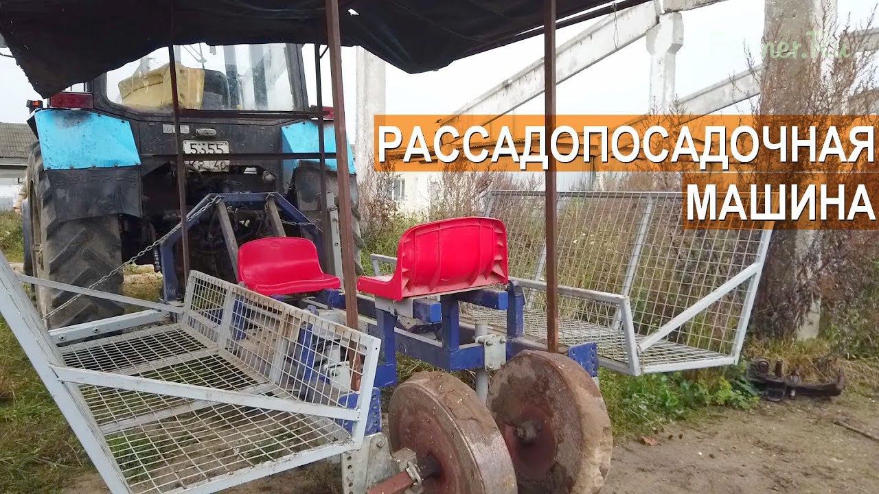 Рассадопосадочная машина для саженцев смородины. КФХ Бабкена Испиряна