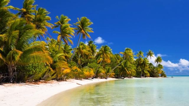Top 10 Places To Visit in French Polynesia - Travel Guide