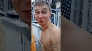 а мы пингвинчики, а нам не холодно