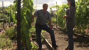 Шушенский виноградарь Александр Петрович Рыкалин.