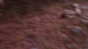 РУССКАЯ РЫБАЛКА СЕТКАМИ НА БЕЛОМ МОРЕ.