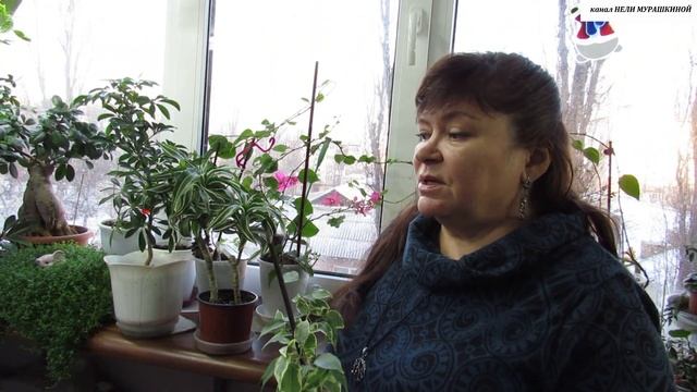 ЧТО ДЕЛАТЬ, если ваше РАСТЕНИЕ ЗАМЁРЗЛО? смотреть онлайн