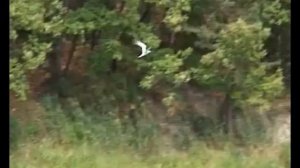 База отдыха "Мухинка", Амурская область