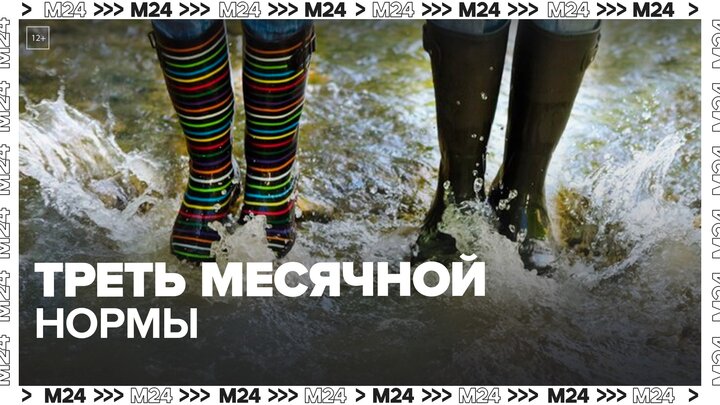 Почти треть месячной нормы осадков выпала в Москве 29–30 июня - Москва 24