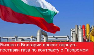 Бизнес в Болгарии просит вернуть поставки газа по контракту с Газпромом.