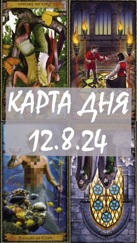 КАРТА ДНЯ 12.8.24