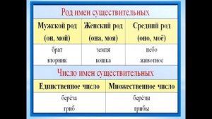 "Многопрофильный колледж профессионального обучения" Салаева А. "Имя существительное"