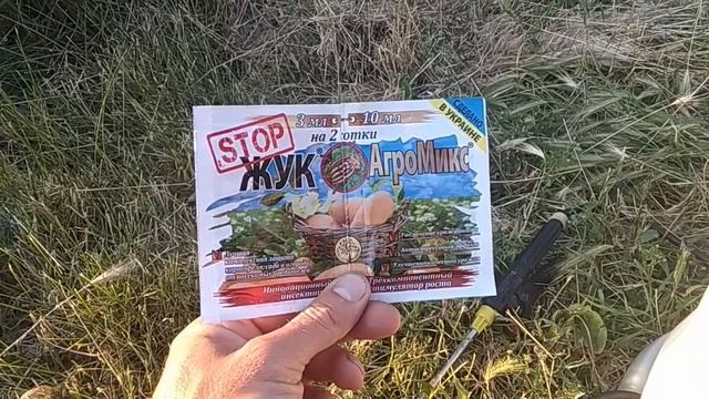 Чем брызгать картошку от колорадского жука ?