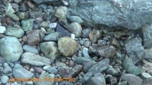 Енисей Майнская ГЭС Отдых на берегу.