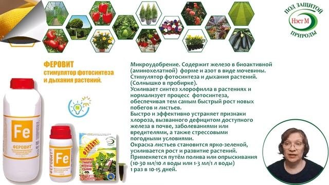 Вопросы и ответы Феровит