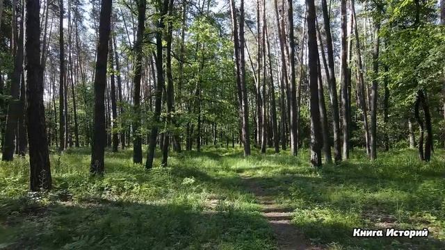 Нищенка после родов просила женщину- акушера стать «мамой на месяц» для её тройни, а когда у дома.. смотреть онлайн