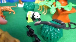 Путешествие в Джунгли с Lion Boy Животные Джунглей для Детей Детям про животных Видео для