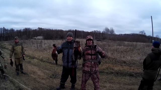 Золотой фазан как это было! смотреть онлайн