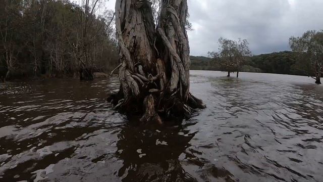 CENTRAL COAST KAYAK 3 - COPACABANA LAGOON смотреть онлайн