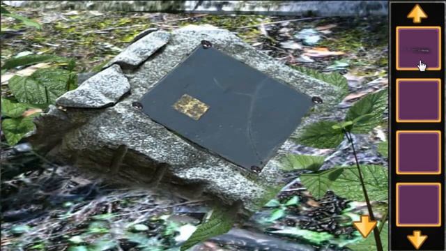 Escape Game Final Passage 1 WalkThrough - New Escape games -FirstEscapeGames смотреть онлайн