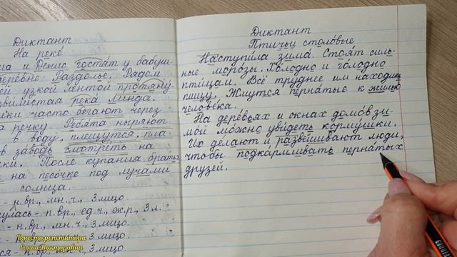 Диктант "Птичьи столовые" смотреть онлайн