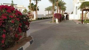 ОБЗОР ТЕРРИТОРИИ ОТЕЛЕЙ CYRENE SHARM & CYRENE ISLAND HOTEL . ЗАВТРАК В ОТЕЛЕ . ШАРМ ЭЛЬ ШЭЙХ 2020