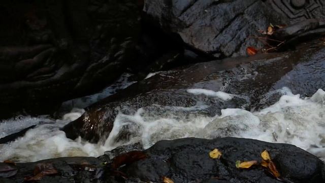 Место силы, женские ретрит - туры в Камбоджу смотреть онлайн