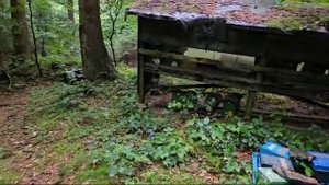 Горный облетник бакфаста Лаутенталь и Виппра. 
Бакфаст от Вальдемара Коха