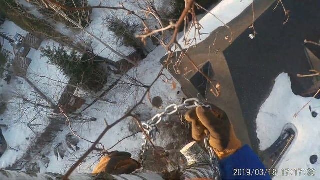 Удаление деревьев с оттяжкой в Московской области - Чистый Лес