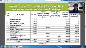 Ревизия в СНТ