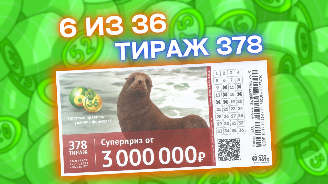 6 ИЗ 36 тираж 378, эфир 27 ноября, Проверить билет лотереи 6из36 Столото, Тиражная лотерея смотреть онлайн
