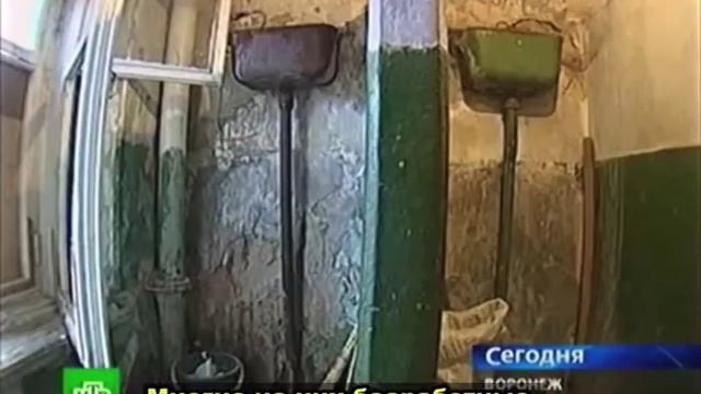Общежитие в Воронеже - 2