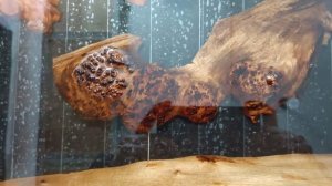 мебель на заказ